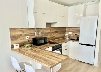 Аренда однокомнатной квартиры, 37 м2, деревня Новое Девяткино, Главная улица, 10