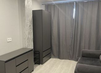Квартира в аренду студия, 24 м2, Мурино, улица Шоссе в Лаврики