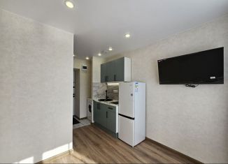 Продается квартира студия, 12 м2, Пермь, Новосибирская улица, 17