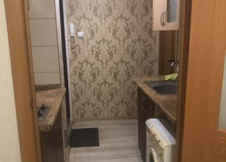 Квартира в аренду студия, 18 м2, Воронеж, улица Берёзовая Роща, 28/1, Центральный район