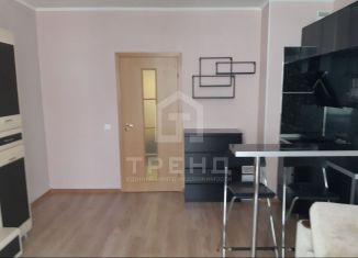Продам квартиру студию, 29 м2, Кудрово, Центральная улица, 54к2
