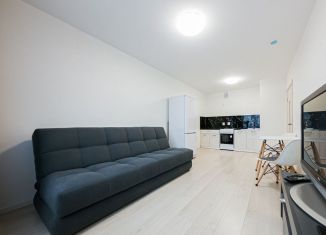 Сдается в аренду 1-комнатная квартира, 33.3 м2, Екатеринбург, Латвийская улица, 58/4, ЖК Хрустальные Ключи