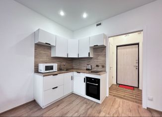 Сдается квартира студия, 24.3 м2, Мурино, Воронцовский бульвар, 21к1