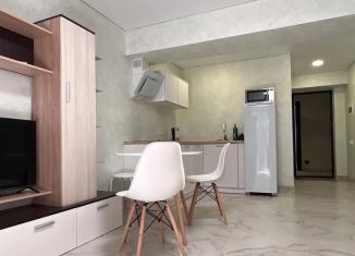 Продам квартиру студию, 20 м2, Сочи, Крымская улица, 67, микрорайон Мамайка