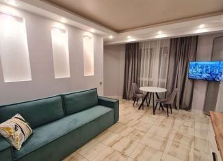 Сдача в аренду двухкомнатной квартиры, 38 м2, Сочи, улица Возрождения, 17/1, микрорайон Бытха