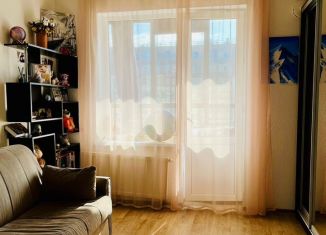 Продажа квартиры студии, 23.9 м2, Санкт-Петербург, проспект Ветеранов, 171к4, муниципальный округ Сосновая Поляна