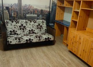Сдается в аренду 1-комнатная квартира, 28 м2, Калининградская область, Вокзальная улица, 12