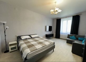 Сдается 1-комнатная квартира, 45 м2, Кстово, Зелёная улица, 16