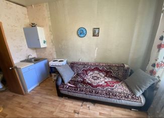 Сдам квартиру студию, 20 м2, Екатеринбург, Заводская улица, 7, метро Площадь 1905 года