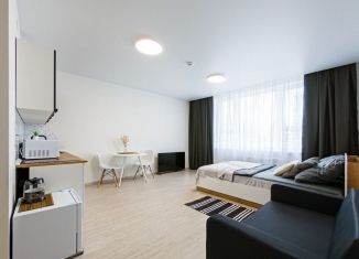 Сдам квартиру студию, 26 м2, Екатеринбург, улица Фрунзе, 31, Ленинский район