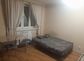 Квартира в аренду студия, 28 м2, посёлок Парголово, Толубеевский проезд, 24