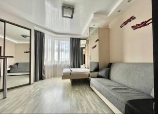 1-комнатная квартира в аренду, 45 м2, Санкт-Петербург, улица Димитрова, 3к1, метро Купчино