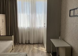 Квартира на продажу студия, 22.3 м2, деревня Хохряки, Тепличная улица, 30