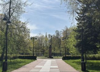 1-ком. квартира в аренду, 31.1 м2, Кронштадт, Советская улица