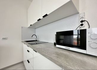Сдается квартира студия, 25 м2, Санкт-Петербург, улица Струве, 14к1, Московский район
