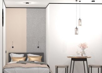 Квартира на продажу студия, 10 м2, Санкт-Петербург, улица Блохина, 8, Петроградский район