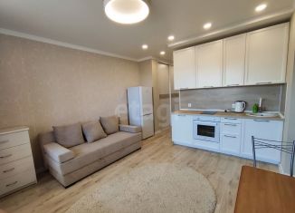 Сдается квартира студия, 24.2 м2, Тюмень, улица Мельникайте, 2к8, ЖК Горизонт