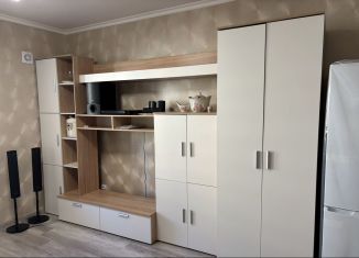 Сдам квартиру студию, 36 м2, Санкт-Петербург, проспект Ветеранов, 171к4, Красносельский район