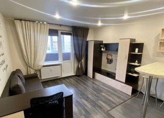 Сдача в аренду квартиры студии, 26 м2, деревня Новое Девяткино, Школьная улица, 2