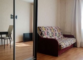 Сдача в аренду квартиры студии, 27 м2, Колпино, Загородная улица, 37к2