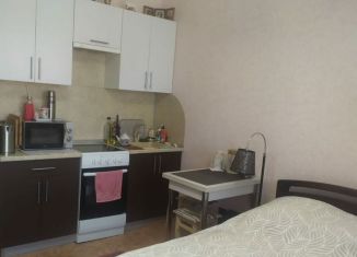 Квартира на продажу студия, 21 м2, Нижний Новгород, Бурнаковская улица, 93, Московский район