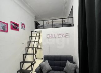 Квартира на продажу студия, 19 м2, Санкт-Петербург, Чкаловский проспект, 16, Петроградский район