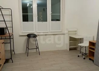 Продажа квартиры студии, 24.1 м2, посёлок Шушары, Кокколевская улица, 13