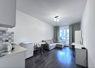 Сдается квартира студия, 24 м2, Санкт-Петербург, Пулковское шоссе, 73к6, Московский район