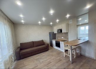 Сдается квартира студия, 30 м2, Курган, 7-й микрорайон, 1Б