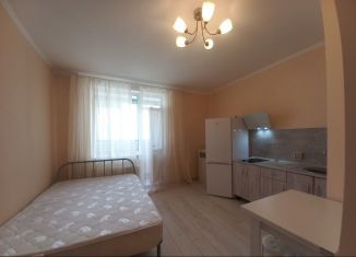 Сдается в аренду квартира студия, 20 м2, Мурино, улица Шувалова, 19к1