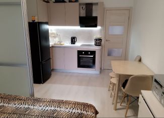 Сдается в аренду 2-комнатная квартира, 52 м2, Санкт-Петербург, Верхне-Каменская улица, 9к1, муниципальный округ Коломяги