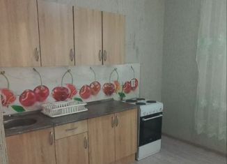 Сдам однокомнатную квартиру, 40 м2, Краснодар, улица имени Виктора Нарыкова, 10, Карасунский округ