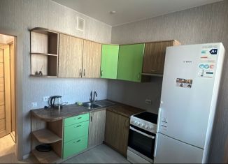 Сдам в аренду 1-ком. квартиру, 27.7 м2, Мурино, Воронцовский бульвар, 21к3