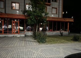 Сдается помещение свободного назначения, 256 м2, Грозный, улица У.А. Садаева, 3, 1-й микрорайон