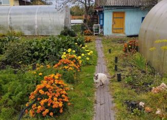 Дом на продажу, 36 м2, Тюменская область