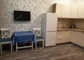 Сдам квартиру студию, 25 м2, Санкт-Петербург, Глухая Зеленина улица, 6, метро Чкаловская