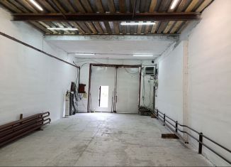 Сдается в аренду производство, 62 м2, Новосибирская область, улица Ленина, 89/20