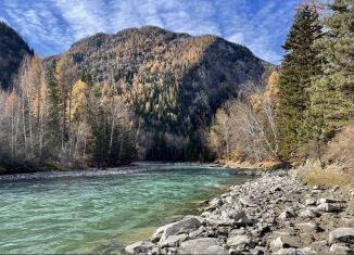 Продажа земельного участка, 100 сот., Ининское сельское поселение, Р-256 Чуйский тракт, 769-й километр