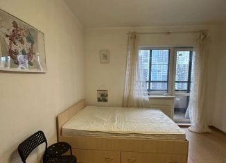 Сдам квартиру студию, 25 м2, Санкт-Петербург, Комендантский проспект, 69, Приморский район