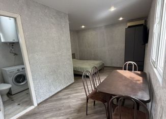 Сдам в аренду дом, 40 м2, село Верхневесёлое