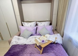 Сдаю в аренду квартиру студию, 24 м2, Москва, Гостиничная улица, 5