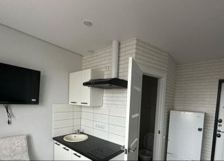 Сдам в аренду квартиру студию, 20 м2, Чебоксары, улица Тимофея Кривова, 8