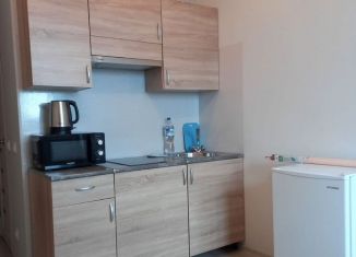 Сдаю в аренду квартиру студию, 19 м2, деревня Афонино, улица Красная Поляна, 4