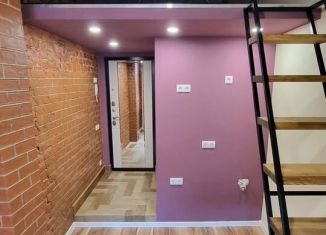Продажа квартиры студии, 16.2 м2, Санкт-Петербург, Опочинина улица, 3, метро Василеостровская
