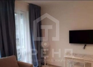 Продам квартиру студию, 25 м2, Санкт-Петербург, Торфяная дорога, 15к3, муниципальный округ Озеро Долгое