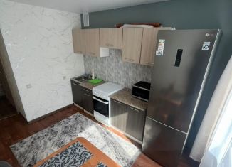 Сдаю в аренду 1-комнатную квартиру, 29 м2, Искитим, жилмассив Ясный, 3