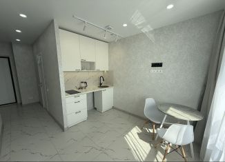 Сдаю в аренду 1-ком. квартиру, 34 м2, Татарстан, Вторая Ударная улица, 5