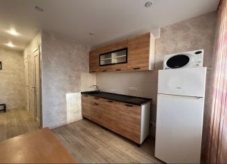 Сдам 1-комнатную квартиру, 38.3 м2, Новосибирск, Ядринцевская улица, 48, Центральный район