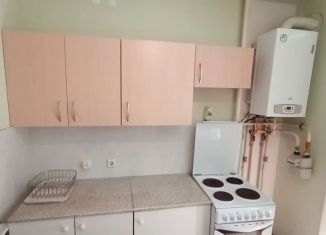 Аренда однокомнатной квартиры, 33.2 м2, Петрозаводск, улица Белинского, 17Б