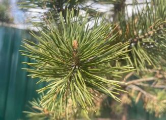 Дом на продажу, 300 м2, СТ № 106 Радость, СТ № 106 Радость, 59А